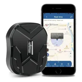 GPS tracker para pets: qual realmente funciona no Brasil?